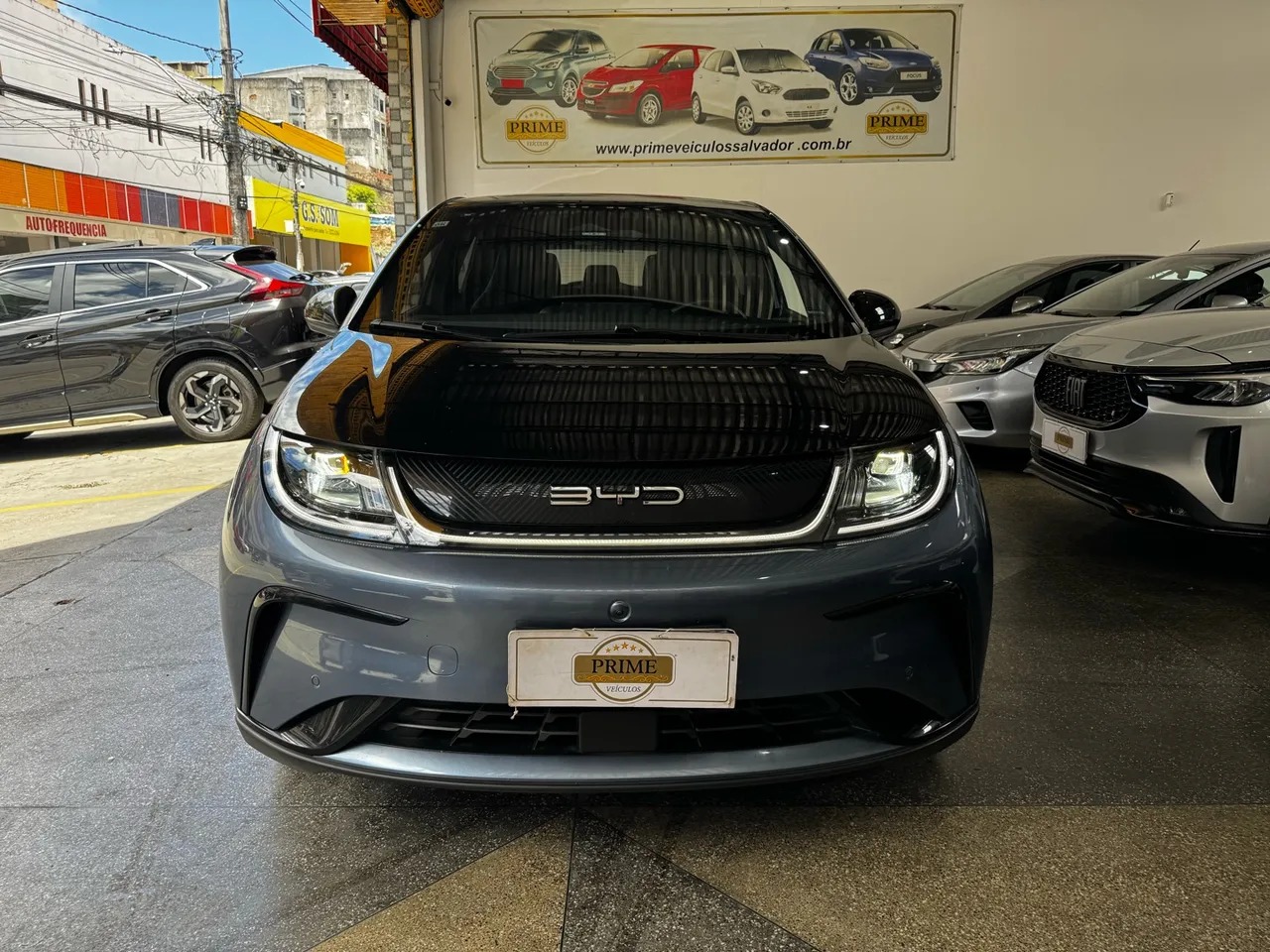 BYD Dolphin Plus